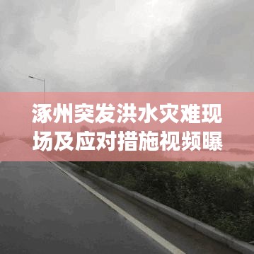 涿州突發洪水災難現場及應對措施視頻曝光
