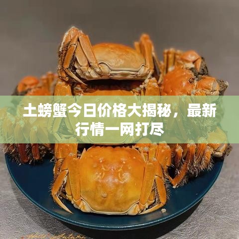 土螃蟹今日價(jià)格大揭秘，最新行情一網(wǎng)打盡