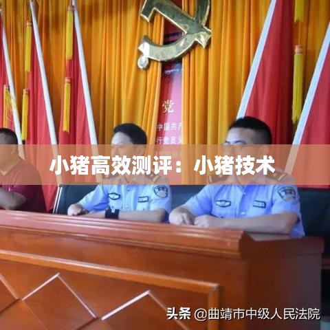 小豬高效測評：小豬技術 