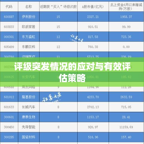 評級突發情況的應對與有效評估策略