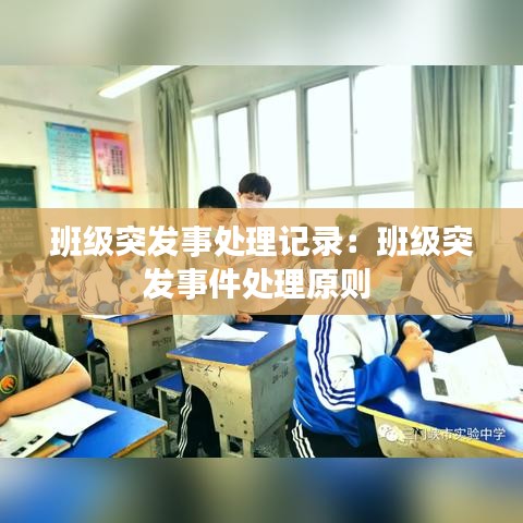 班級突發事處理記錄:班級突發事件處理原則