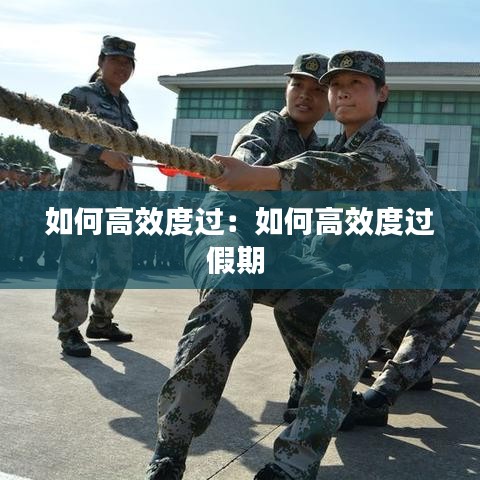 如何高效度過:如何高效度過假期