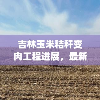 吉林玉米秸稈變肉工程進展,最新消息揭秘轉化成果