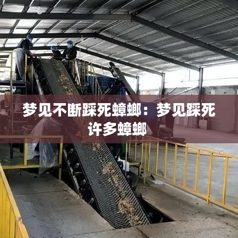 夢見不斷踩死蟑螂:夢見踩死許多蟑螂