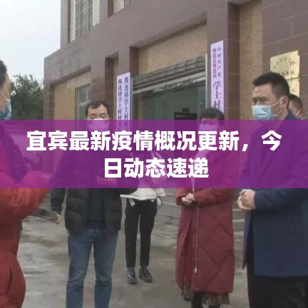 宜賓最新疫情概況更新，今日動態速遞