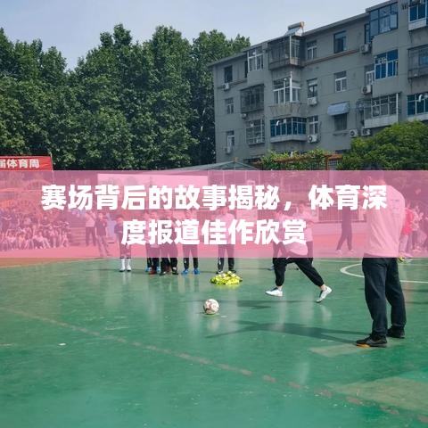 賽場(chǎng)背后的故事揭秘，體育深度報(bào)道佳作欣賞