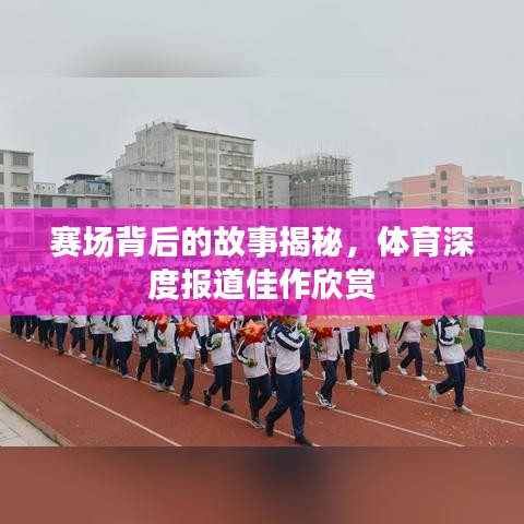 賽場(chǎng)背后的故事揭秘,體育深度報(bào)道佳作欣賞