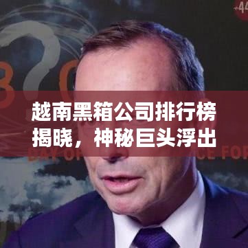 越南黑箱公司排行榜揭曉,神秘巨頭浮出水面