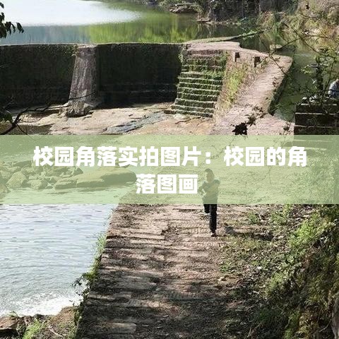 校園角落實拍圖片:校園的角落圖畫