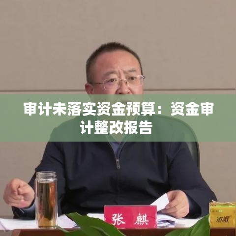 審計未落實資金預算:資金審計整改報告