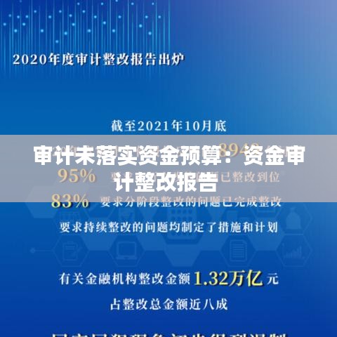 審計未落實資金預算:資金審計整改報告