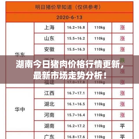 湖南今日豬肉價格行情更新,最新市場走勢分析!