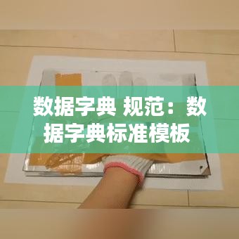 數據字典 規范:數據字典標準模板