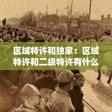 區(qū)域特許和獨(dú)家:區(qū)域特許和二級特許有什么明顯不同