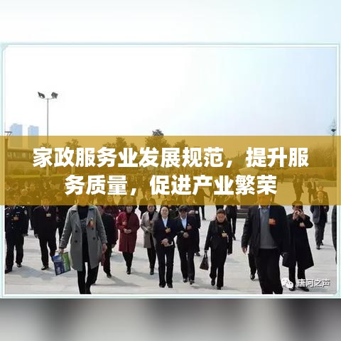 蟲蝕鳥步 第3頁