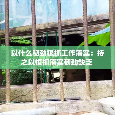 以什么韌勁狠抓工作落實:持之以恒抓落實韌勁缺乏