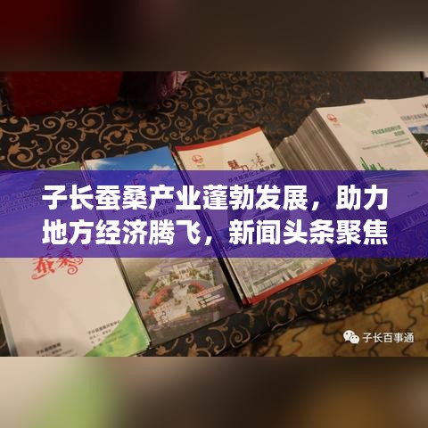 子長蠶桑產業蓬勃發展,助力地方經濟騰飛,新聞頭條聚焦蠶桑產業新動態