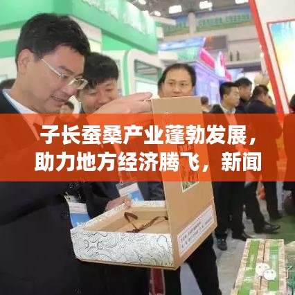 子長蠶桑產業蓬勃發展,助力地方經濟騰飛,新聞頭條聚焦蠶桑產業新動態