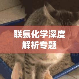 聯氨化學深度解析專題