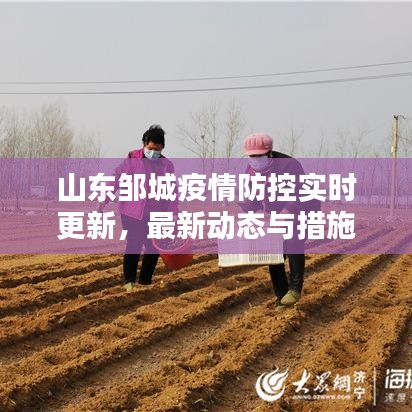 山東鄒城疫情防控實時更新,最新動態與措施全解析