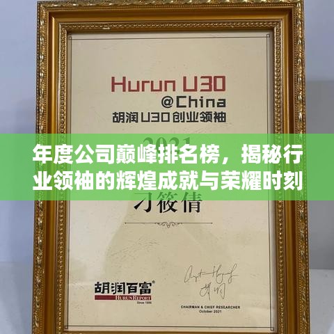 年度公司巔峰排名榜，揭秘行業領袖的輝煌成就與榮耀時刻