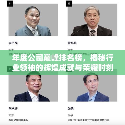 年度公司巔峰排名榜,揭秘行業領袖的輝煌成就與榮耀時刻
