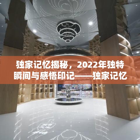 獨家記憶揭秘,2022年獨特瞬間與感悟印記——獨家記憶XXXX年珍藏版回顧