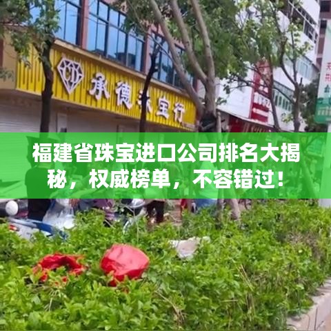 福建省珠寶進口公司排名大揭秘,權威榜單,不容錯過!