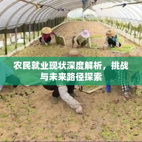 農民就業現狀深度解析，挑戰與未來路徑探索