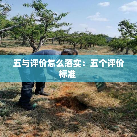 五與評價怎么落實:五個評價標準