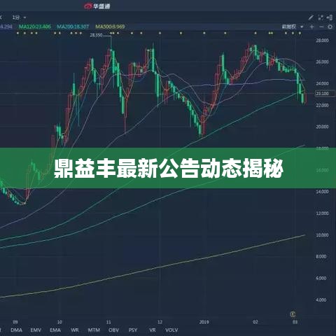鼎益豐最新公告動態揭秘