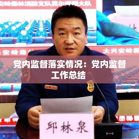 黨內監督落實情況:黨內監督工作總結