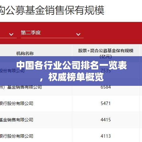 中國各行業(yè)公司排名一覽表,權(quán)威榜單概覽