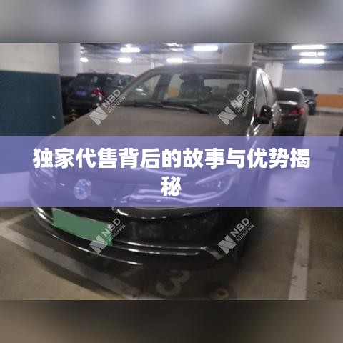 獨家代售背后的故事與優勢揭秘