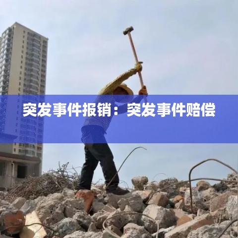 突發事件報銷:突發事件賠償