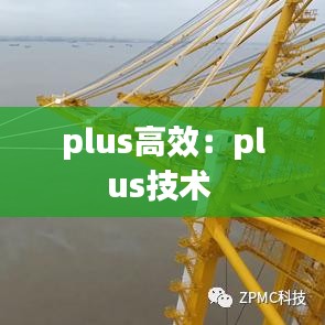 plus高效:plus技術