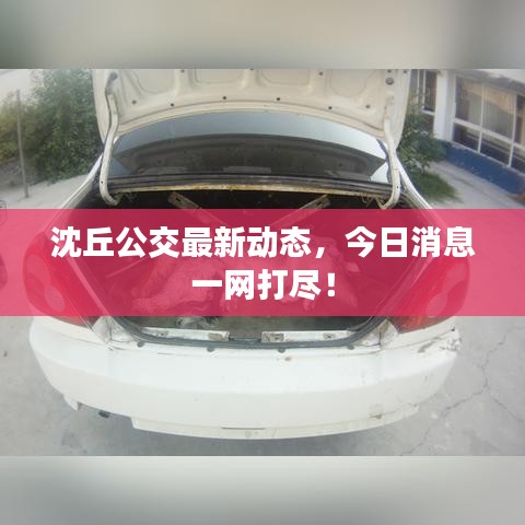 沈丘公交最新動態,今日消息一網打盡!