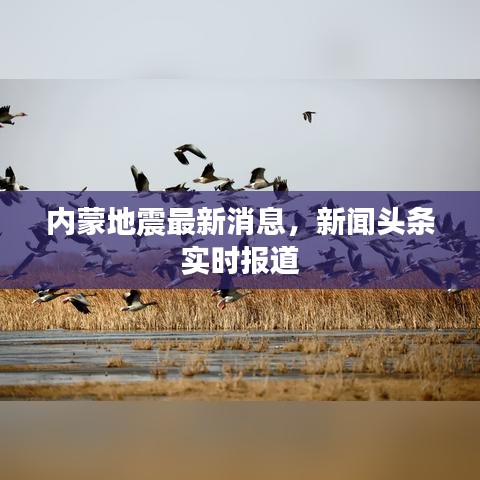 內(nèi)蒙地震最新消息，新聞?lì)^條實(shí)時(shí)報(bào)道