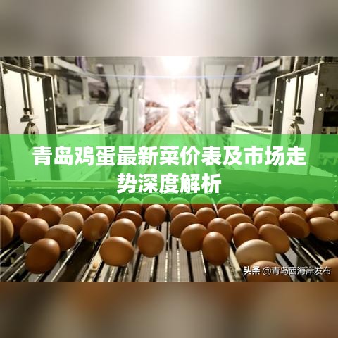青島雞蛋最新菜價表及市場走勢深度解析