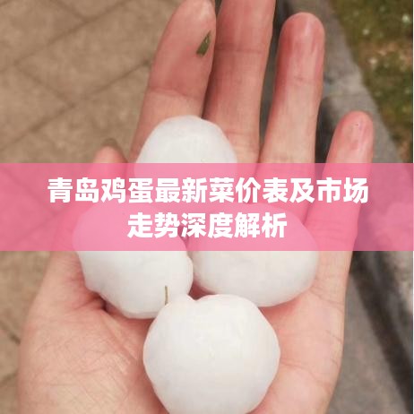 青島雞蛋最新菜價表及市場走勢深度解析