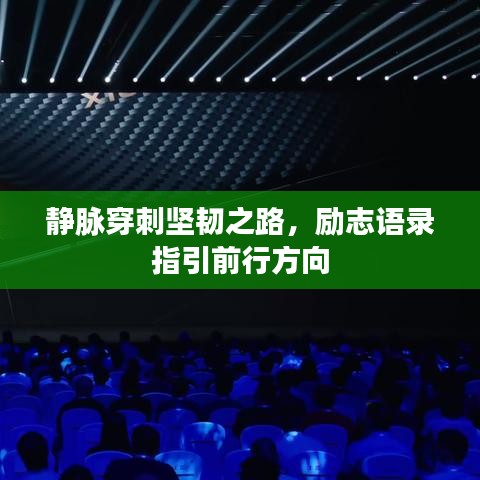 靜脈穿刺堅(jiān)韌之路,勵(lì)志語錄指引前行方向