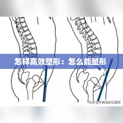 怎樣高效塑形:怎么能塑形