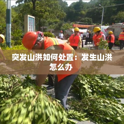 突發山洪如何處置:發生山洪怎么辦