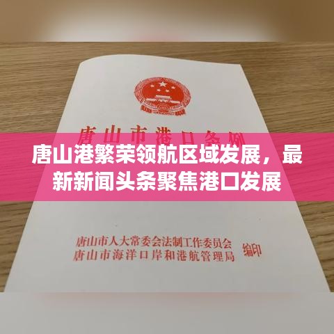 唐山港繁榮領航區域發展,最新新聞頭條聚焦港口發展