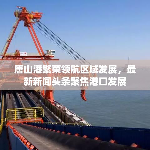 唐山港繁榮領航區域發展,最新新聞頭條聚焦港口發展