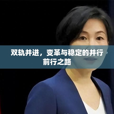 雙軌并進,變革與穩定的并行前行之路