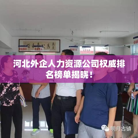 河北外企人力資源公司權威排名榜單揭曉!