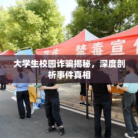 大學生校園詐騙揭秘,深度剖析事件真相