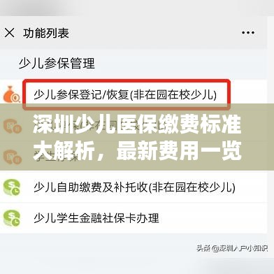 深圳少兒醫(yī)保繳費標準大解析,最新費用一覽