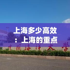 上海多少高效:上海的重點(diǎn)高校